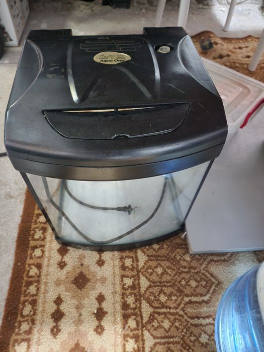 Acvariu , juwel de 60 litri