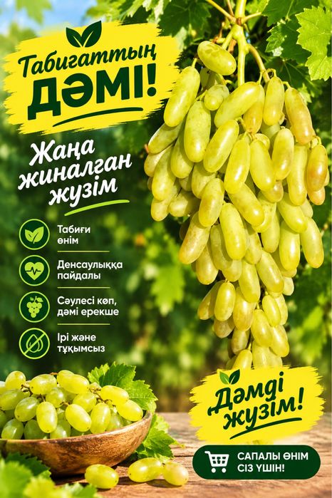 Саженцы винограда