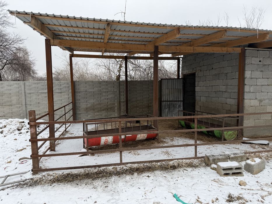 Продам дом с откормом для скота