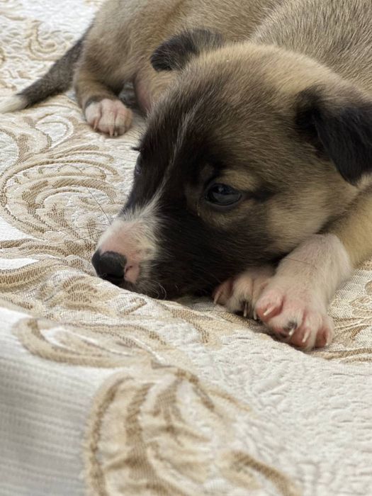 Малышам срочно нужен дом и семья!