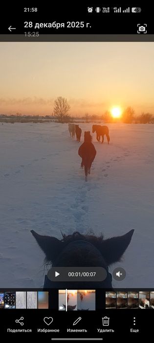 Лошадей 4 голов.