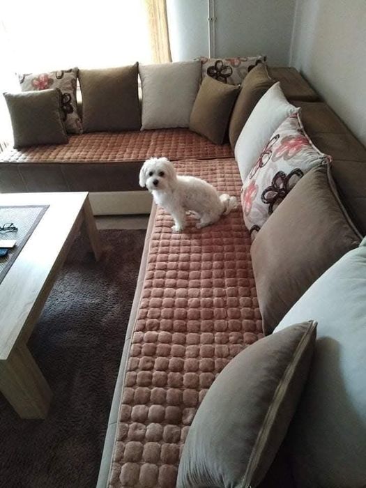 Противохлъзгащи постелки за дивани