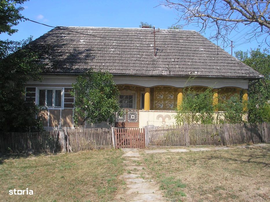 Zona Codrului, la numai 43 Km de Municipiul Baia Mare !