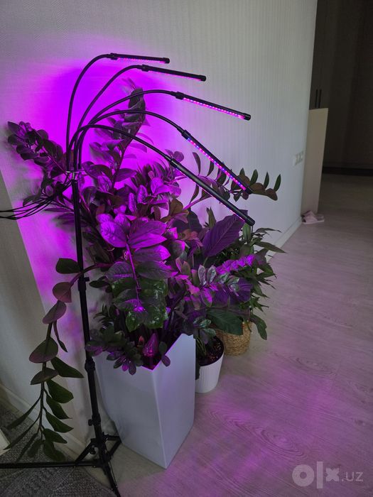 Фитолампа для растений