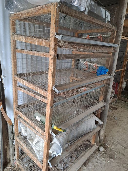 Бедана клетка сотилади