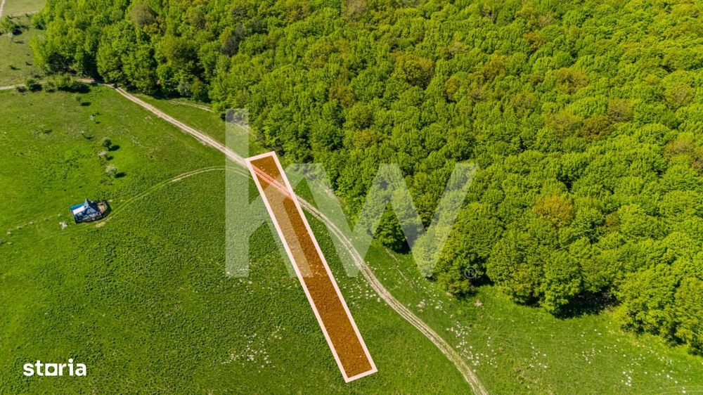 Teren 1500 mp | Zona Viesel – Codlea | Priveliste Superba | Investit