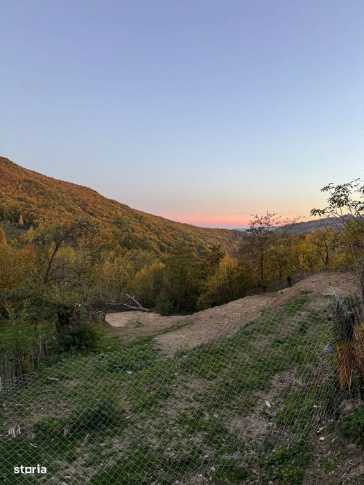 Paltinu - teren intravilan 1780mp - 29000 Euro/Neg.