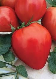 Rasaduri de legume și flori tradiționale românești BIO