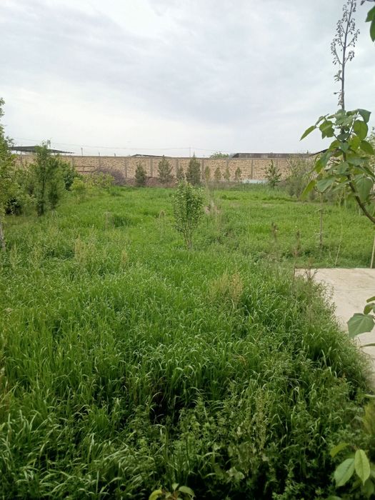 20 соткда беда ут буда сотилади