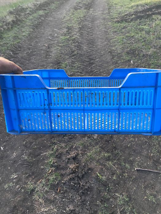 Касетки за плодове