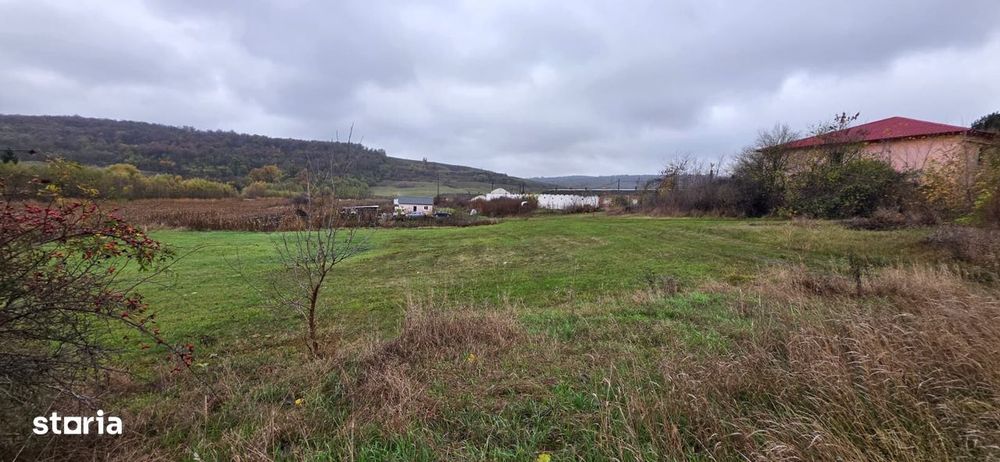 TEREN de Construit – 2.000 MP – ZĂPODIA-TRAIAN