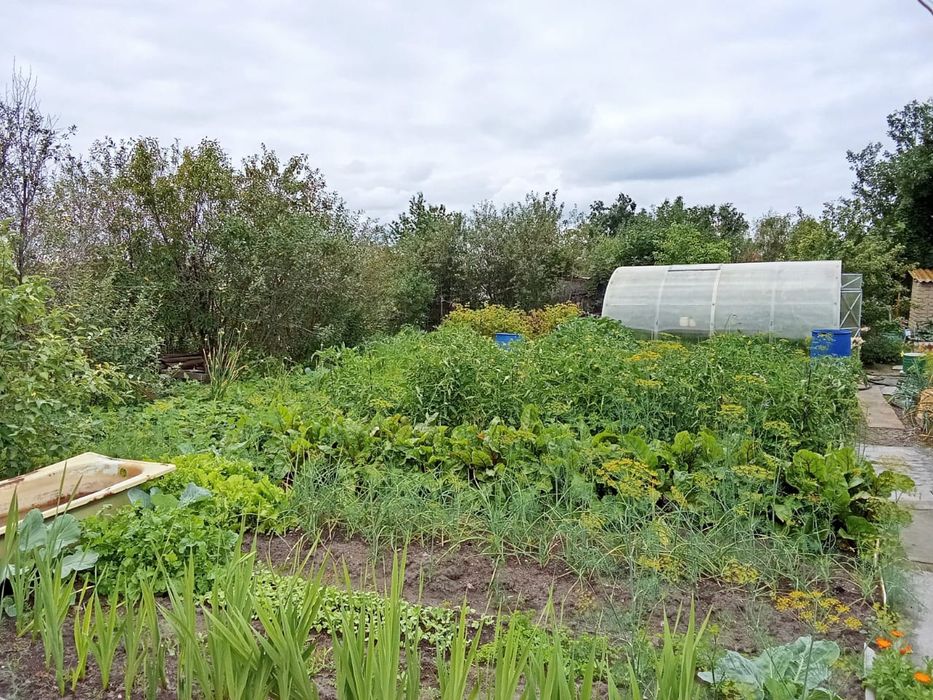 Продам дачу 6,5 соток