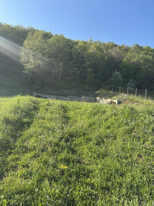 Teren Valea Mare Podgoria