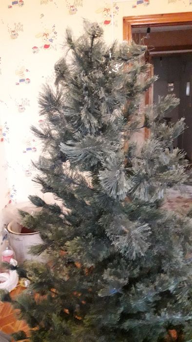 Ёлка в хорошем состоянии