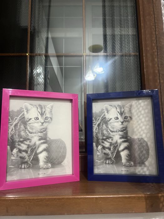 Банеры для гендер пати