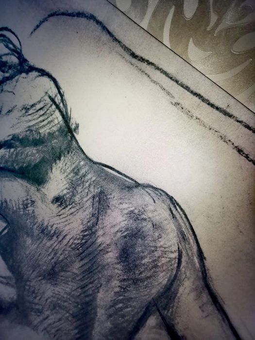 Картина платно принт по ЕДГАР ДЕГА ,Тоалетът, автограф голяма 118х78см