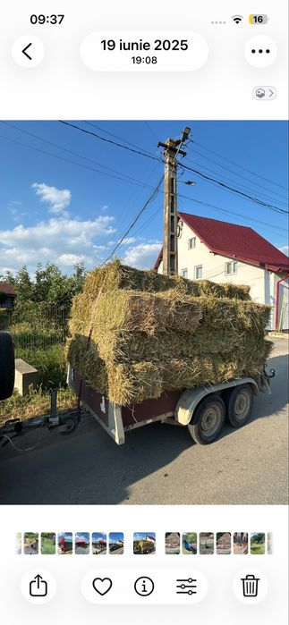 Vand remorca 2000 kg