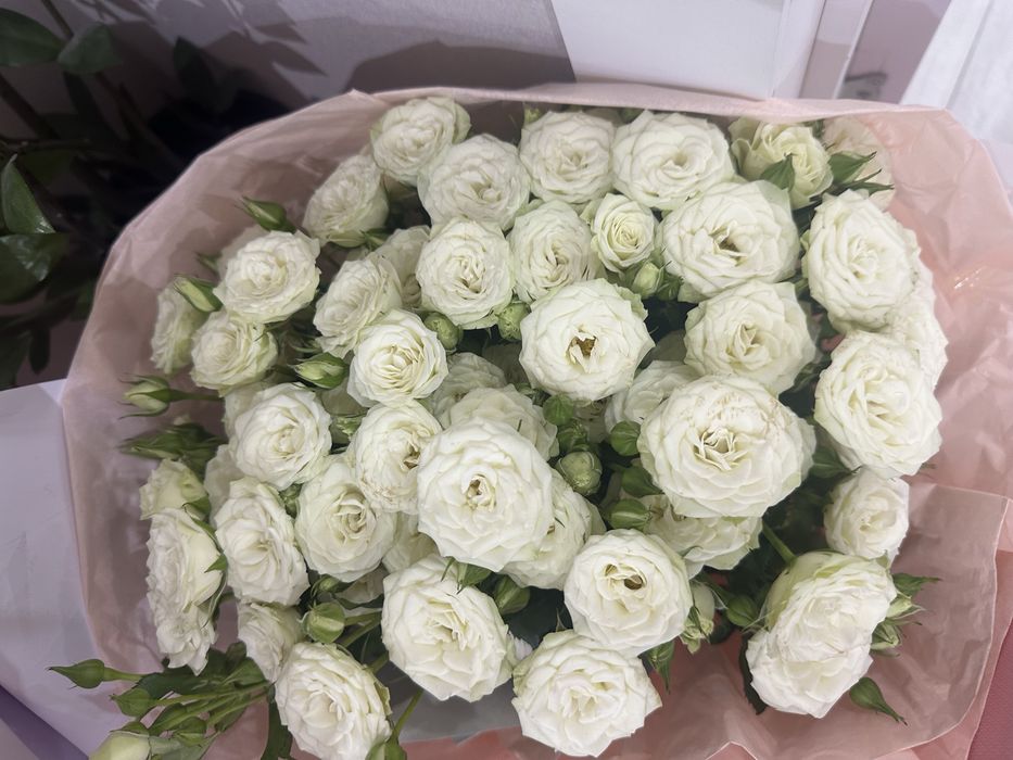 Свежие розы за 5000