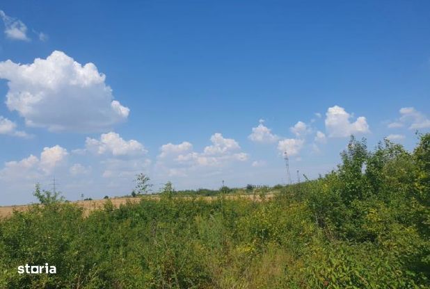 Cota 2/6 din teren extravilan- Localitatea Ghiroda , judetul Timis,