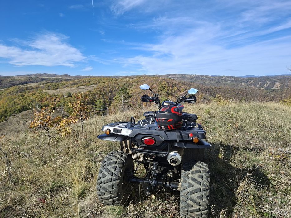 Linhai Anniversary Muddy 300 4×4