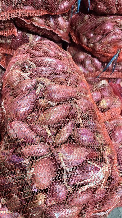 Ceapa de apa rosie calitate