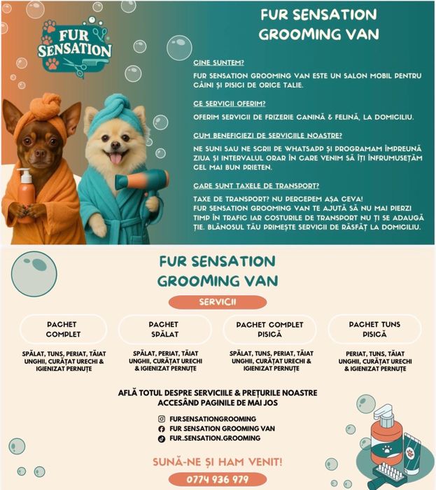 Frizerie canină si felină la domiciliu tau