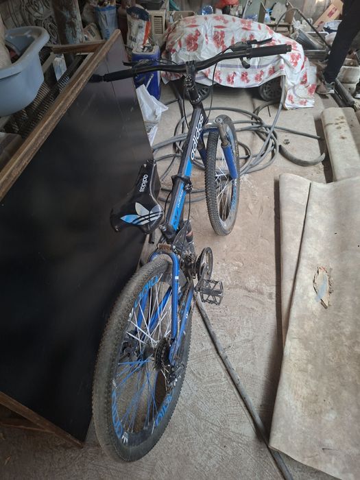 Велик адидас сатылады