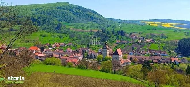 Pachet terenuri agricole Saschiz și Mihai Viteazu, Jud. Mures