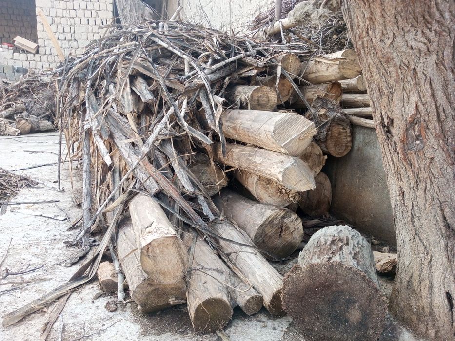 Yog'och sotiladi  БОЛОР СОТИЛАДИ