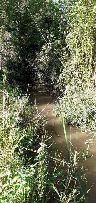 Ер сотилади боғли