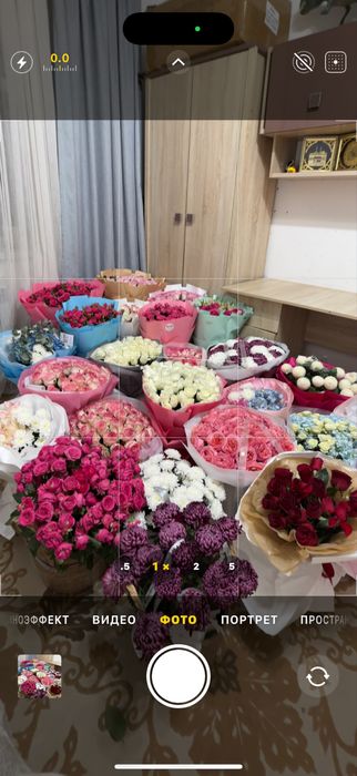 Цветы арзан бағада до 10К