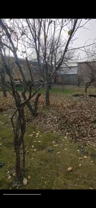 ПРОДАЕТСЯ Лимонария 9 соток йер Земля