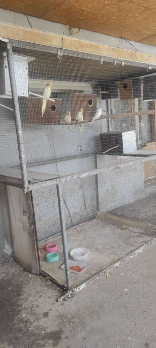 Большая клетка-вольер