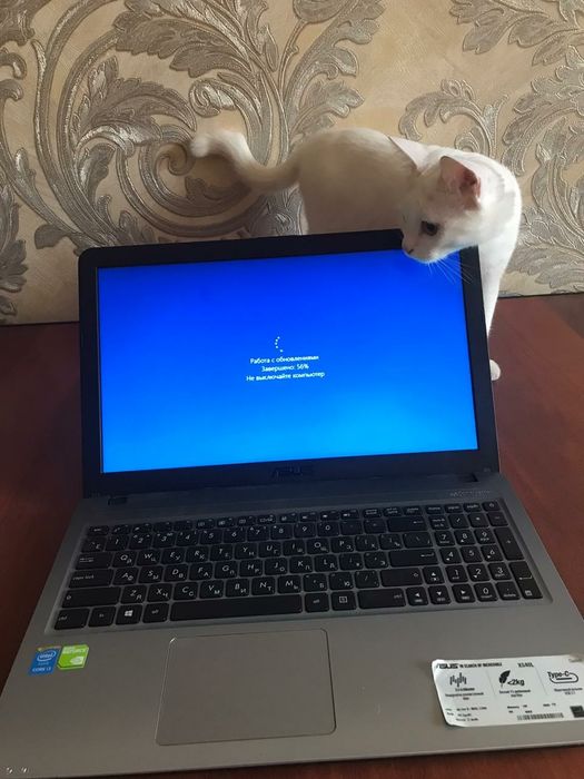 Ноутбук ASUS. Асус