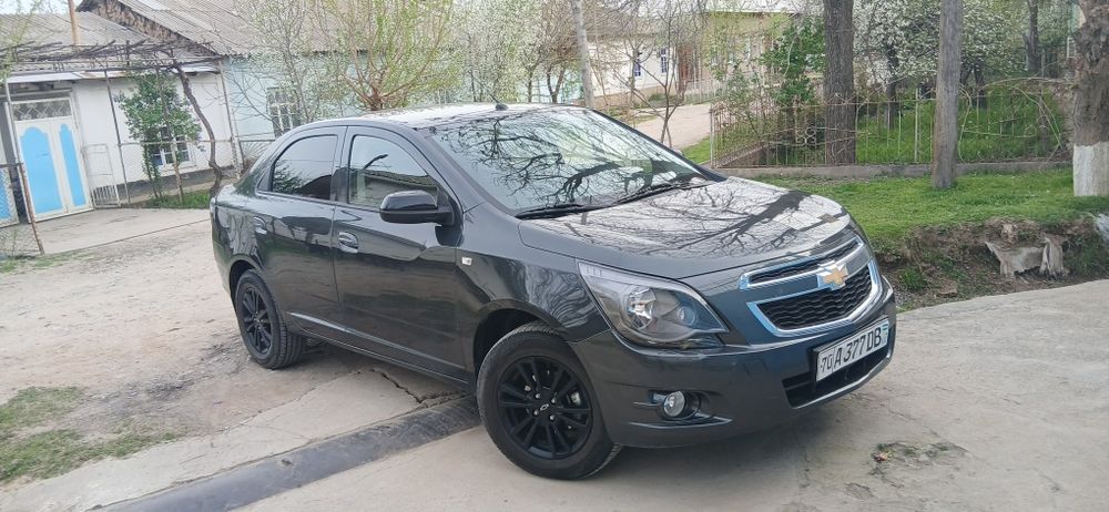 Cobalt Midnight 2025