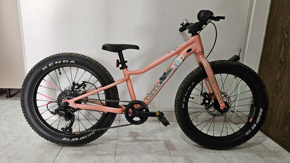 Bicicleta copii Cannondale Trail Plus 20