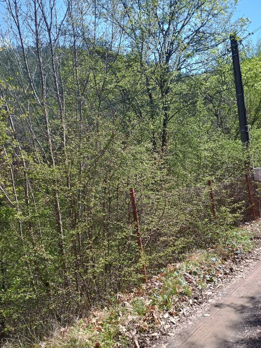 Продава се Къща в с. Луково, Област София-област - 24 кв.м за 625 €/кв.м - Снимка #16