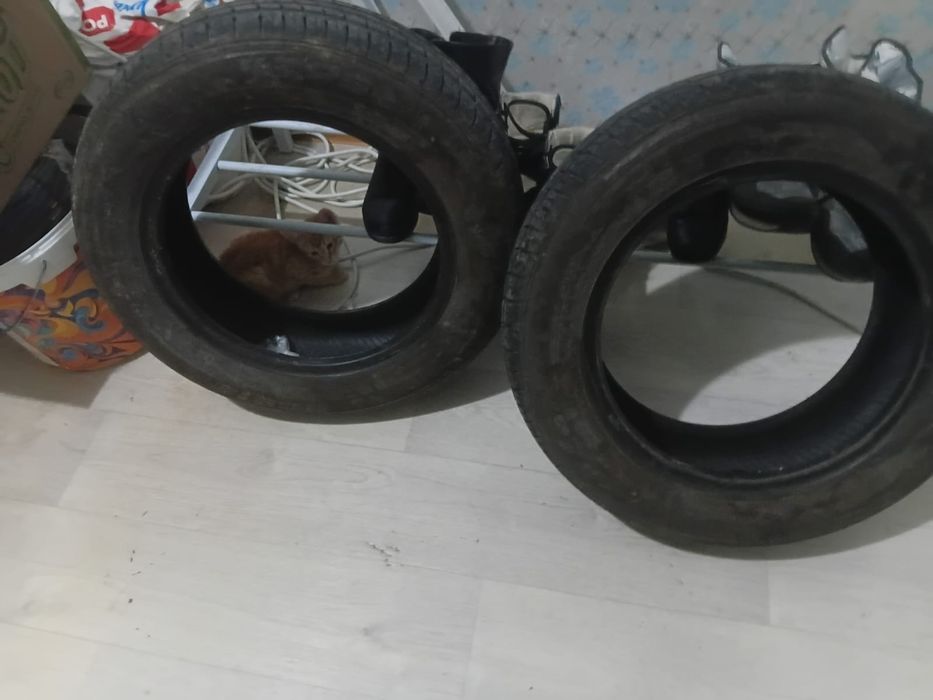 Шины на машину двенашки