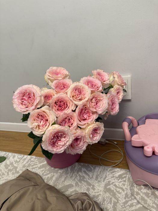 Розы свежие без оформления