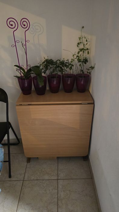 Voi vinde masa, în stare foarte bună.