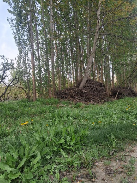 10 sotix chek sotiladi