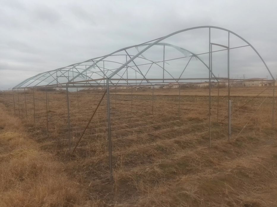 Тайёр парник сотилади