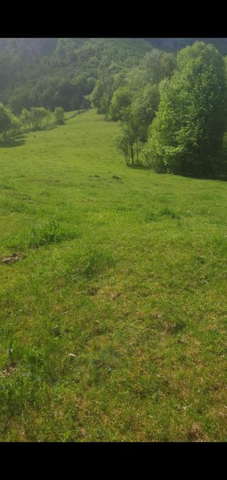 Teren de vânzare intravilan