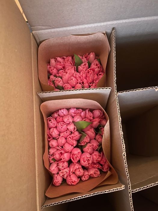 Продам тюльпаны в розницу к праздникам