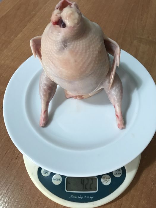 Перепелиное мясо