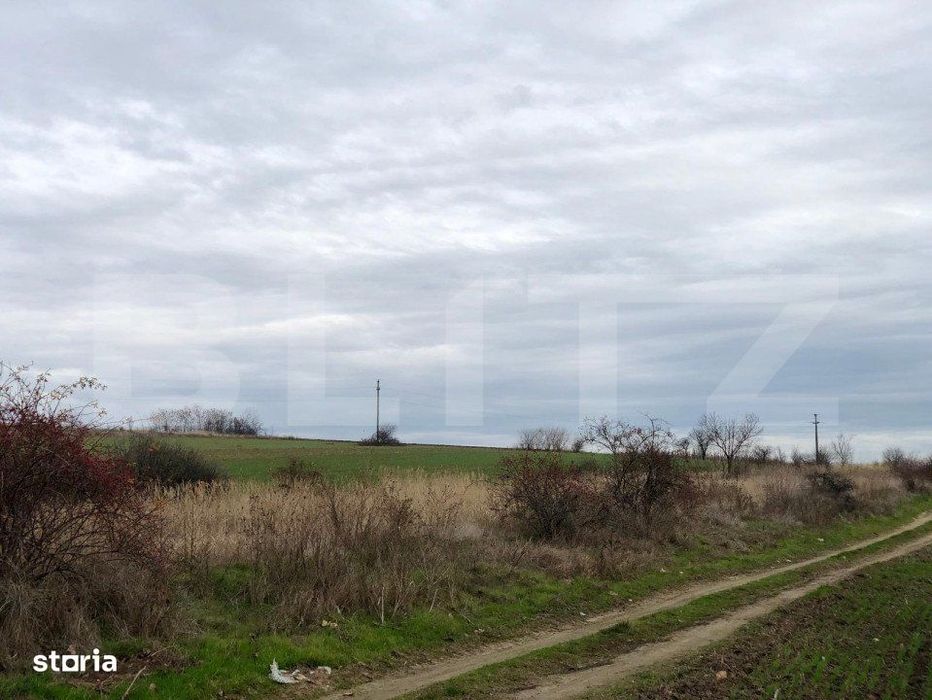 Teren intravilan 3.800 mp, zona linistita, Malu Mare