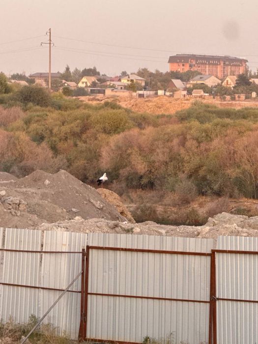 Участок земли, вдоль речки, в Ташкентской области