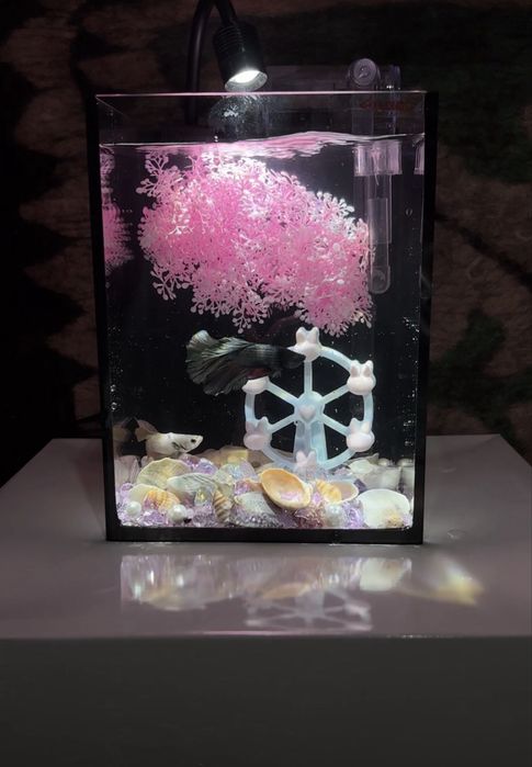 Аквариум +Декор+рыб+Фильтр +корм