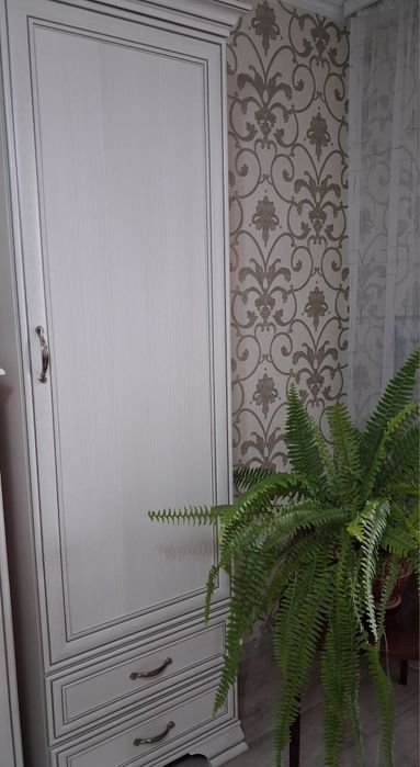 Продам плательный шкаф