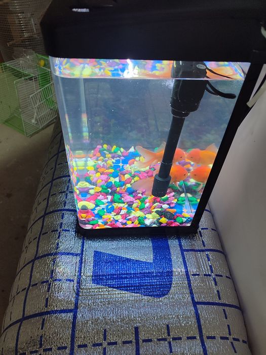 Akvarium toza Xitoy 30 LITRli